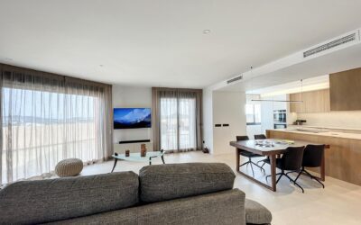 Almost complete renovation project of a penthouse