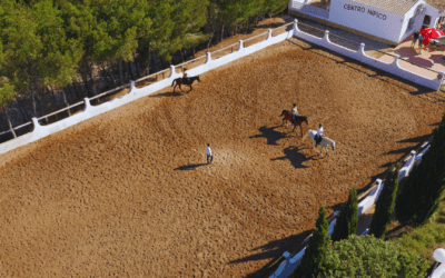 Equestrian activities at La Cañada del Sol Riding Club