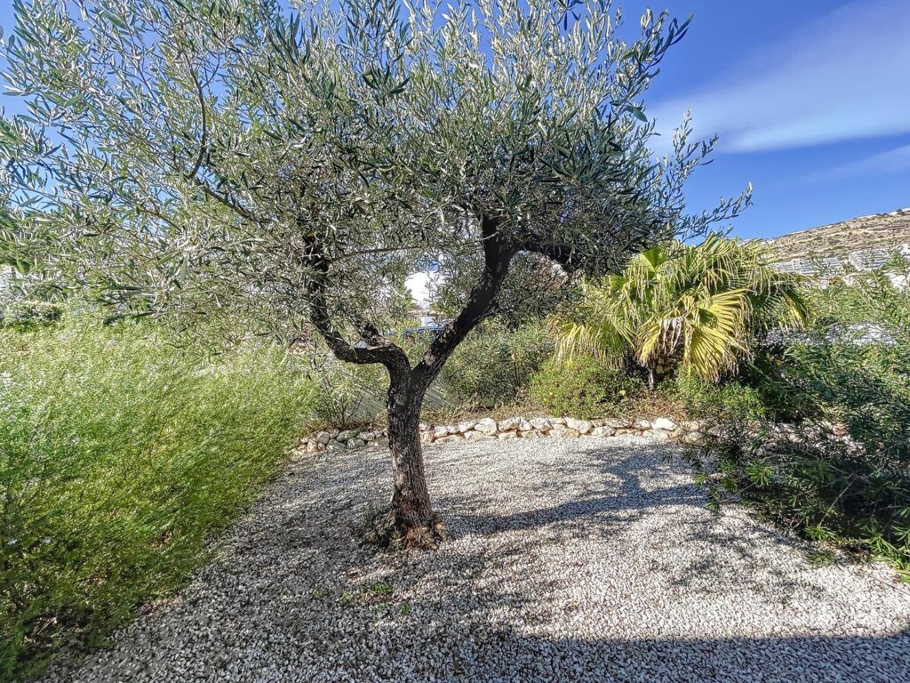 Modern villa with sea views and private pool 58