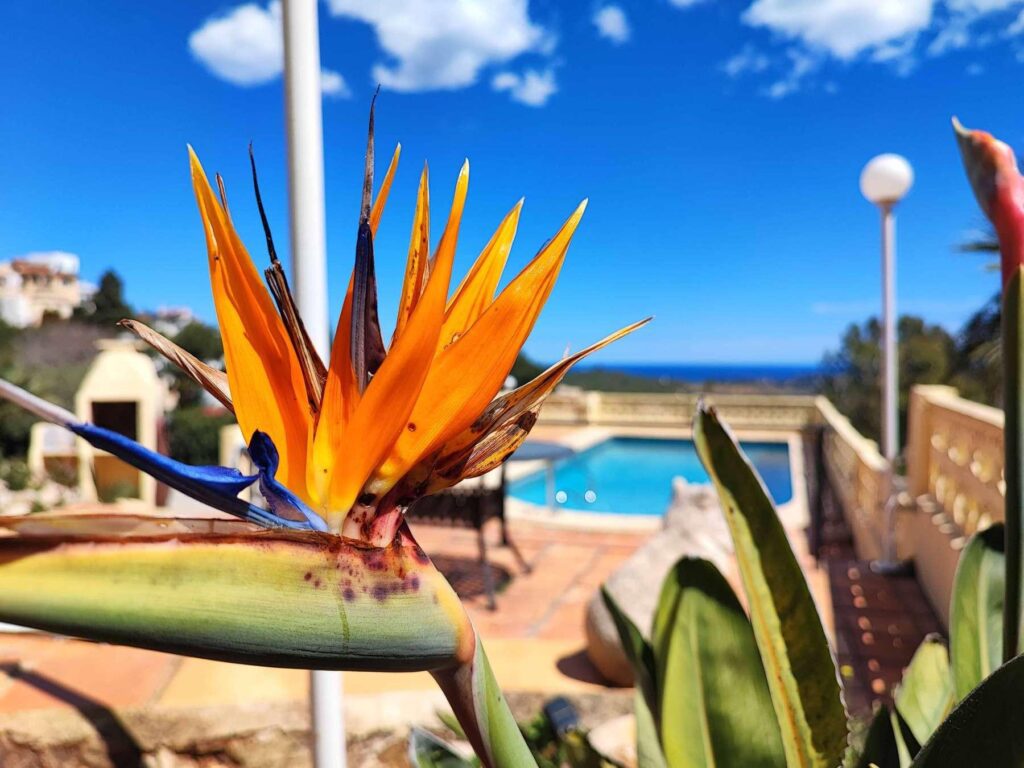 Cumbre del Sol: a Mediterranean-style villa with stunning sea views 42