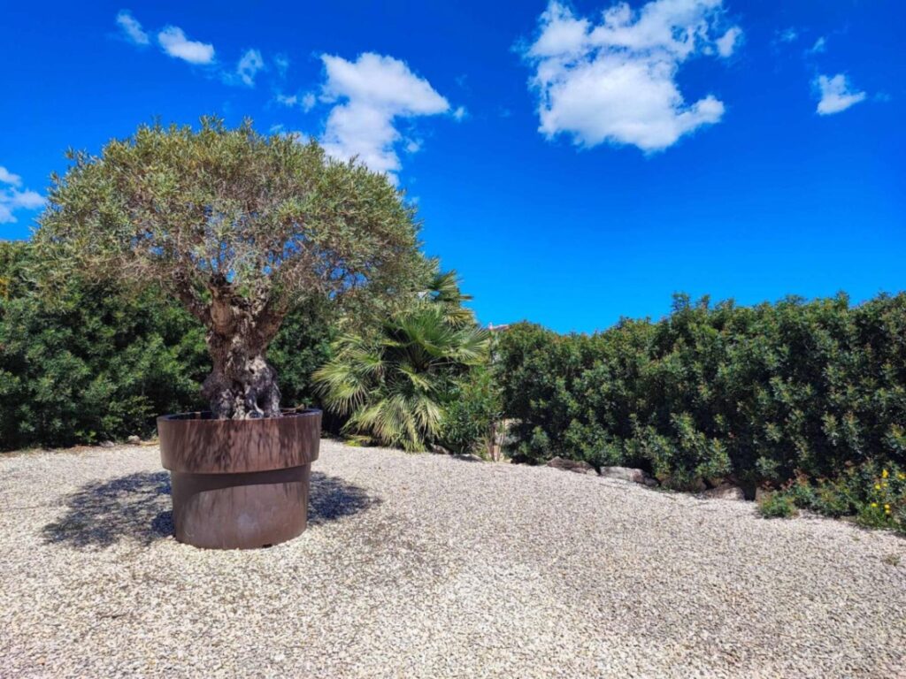 Cumbre del Sol: a Mediterranean-style villa with stunning sea views 48