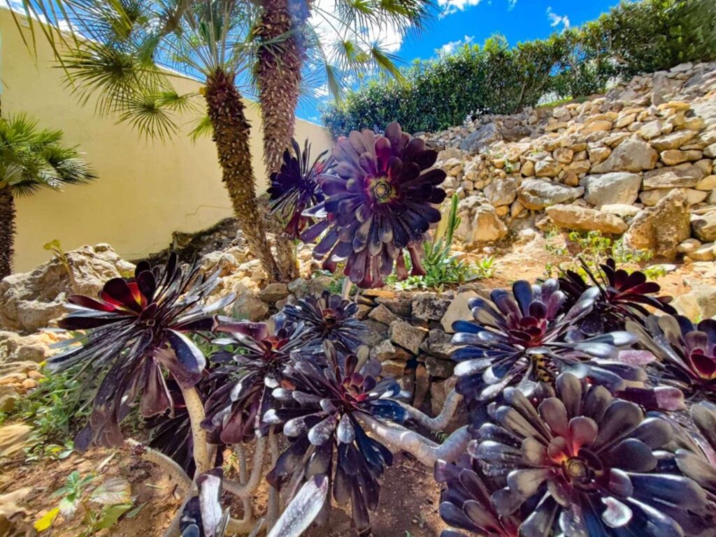 Cumbre del Sol: a Mediterranean-style villa with stunning sea views 50